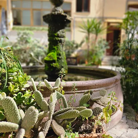 Oasi Ballarak Palermo